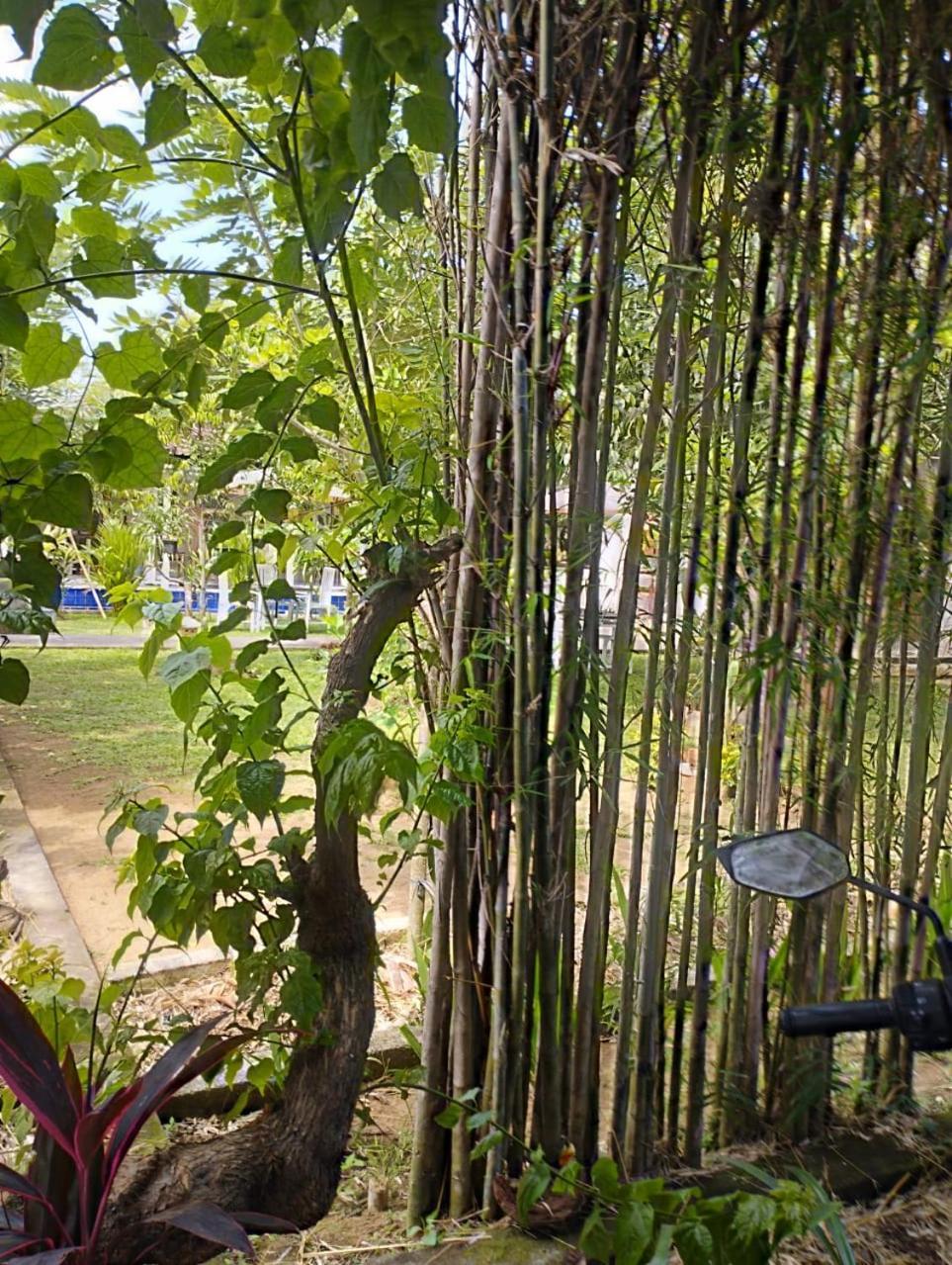 Puri Amartha Apartment Ubud  Ngoại thất bức ảnh