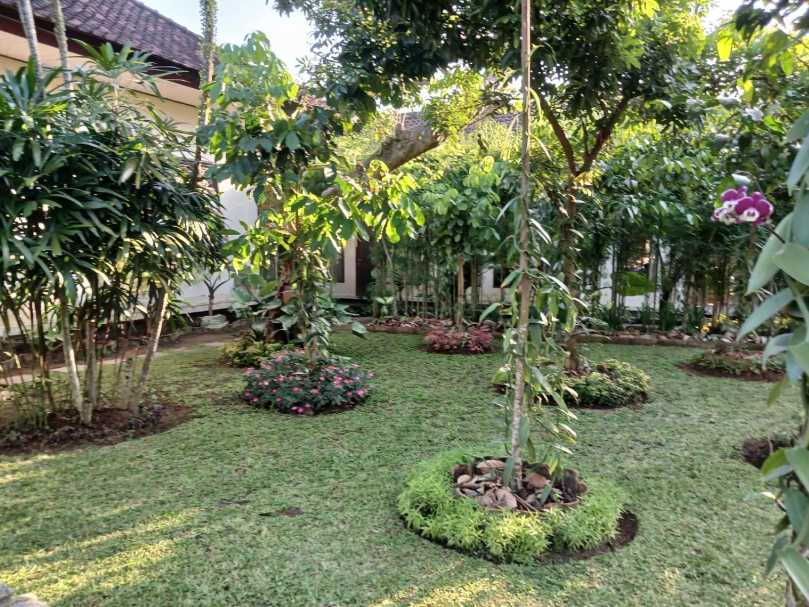 Puri Amartha Apartment Ubud  Ngoại thất bức ảnh