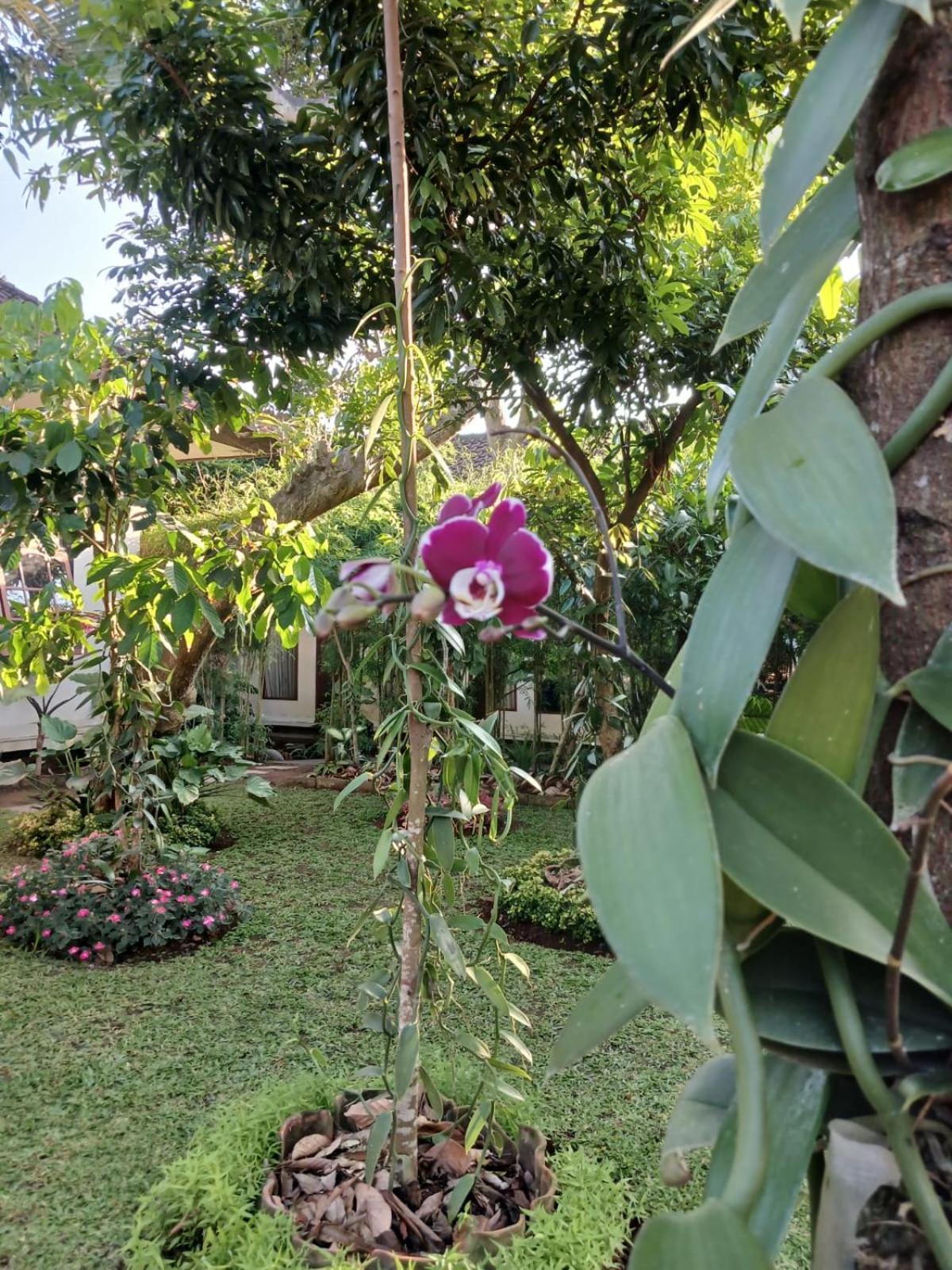 Puri Amartha Apartment Ubud  Ngoại thất bức ảnh