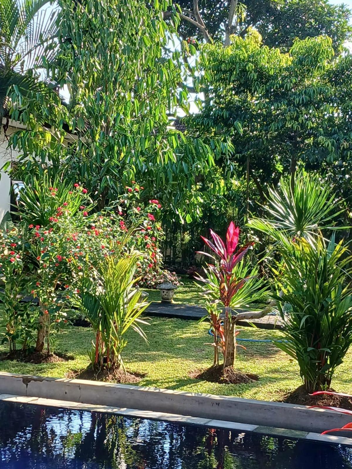 Puri Amartha Apartment Ubud  Ngoại thất bức ảnh