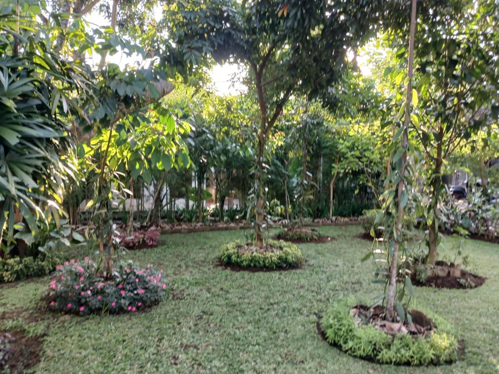 Puri Amartha Apartment Ubud  Ngoại thất bức ảnh