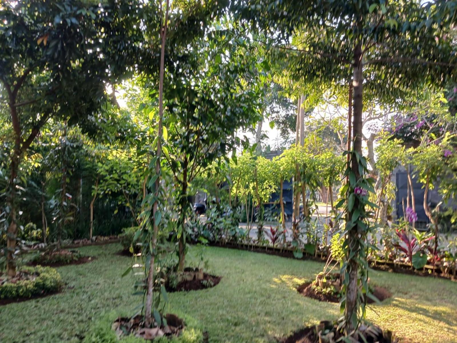 Puri Amartha Apartment Ubud  Ngoại thất bức ảnh